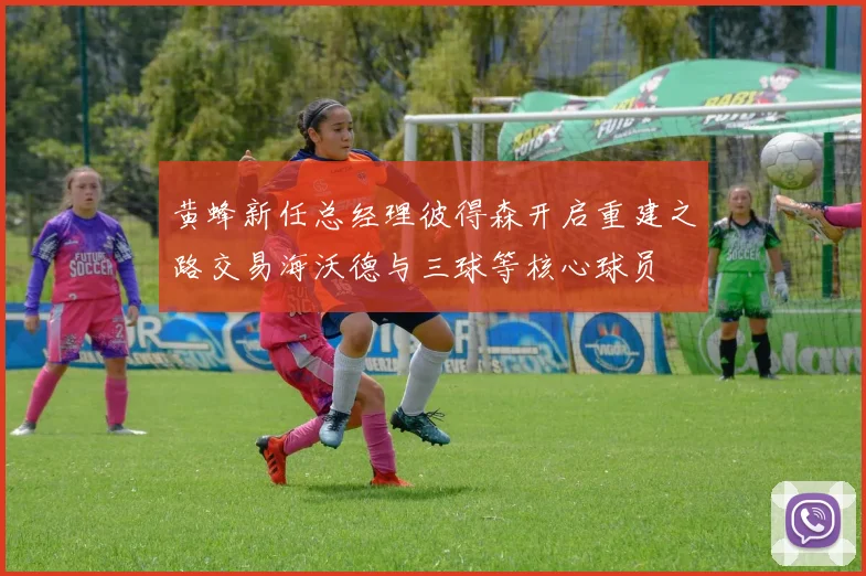黄蜂新任总经理彼得森开启重建之路交易海沃德与三球等核心球员
